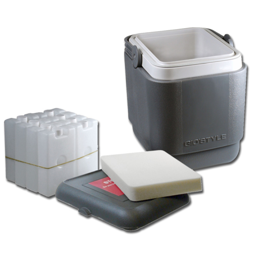 Lada termoizolanta transport vaccin - imagine 3